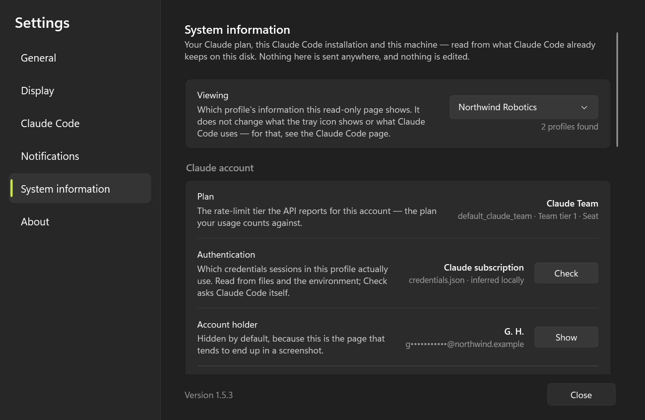 Settings, System information: the profile picker, the plan with its raw tier and seat, which credentials the profile uses, and a masked account holder